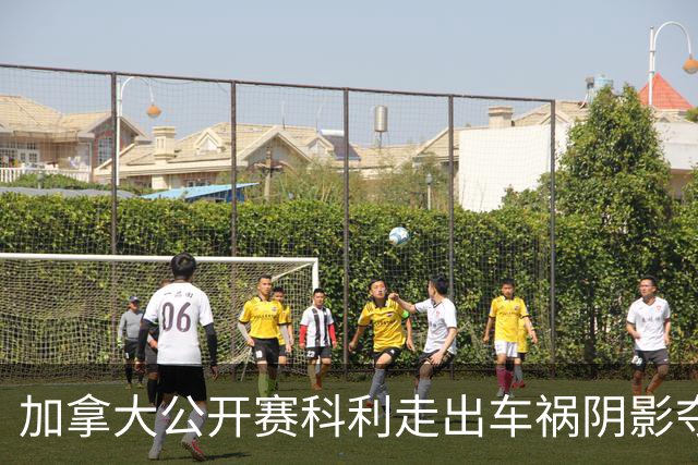 加拿大公开赛科利走出车祸阴影夺取首胜 李昊桐T60